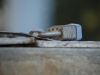 canon-nikon-lens-mug-18