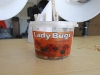 bugs-3