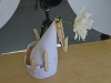 bugs-4